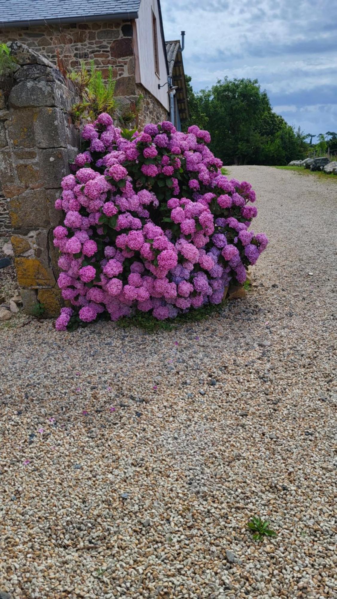 Gite Paimpol Le Loarwenn Exterior foto